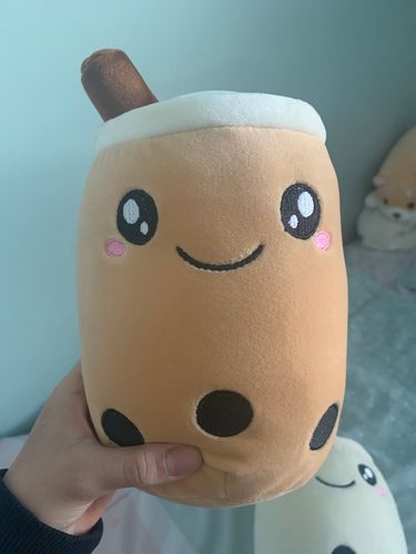 Customer photo review of Bubble Tea Plush Pillow