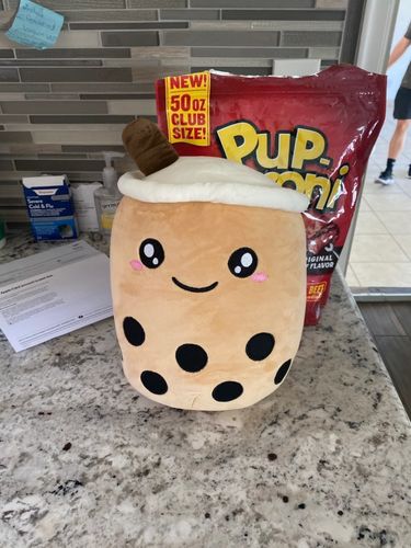Customer photo review of Bubble Tea Plush Pillow