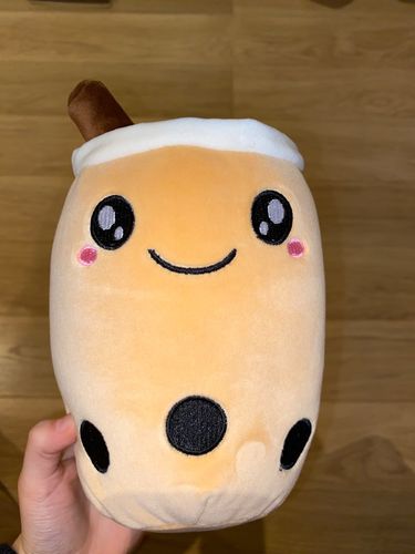Customer photo review of Bubble Tea Plush Pillow