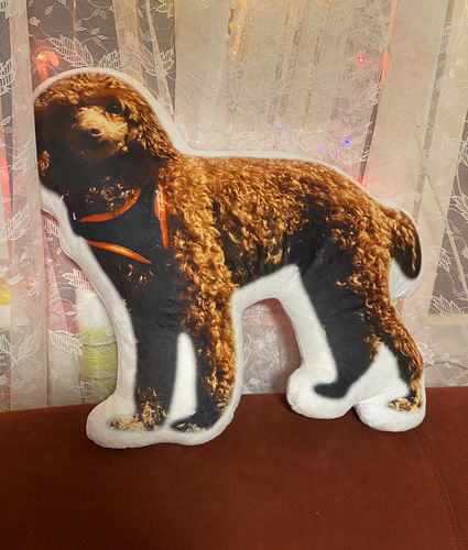 Customer photo review of Personalisiertes Hundekissen™