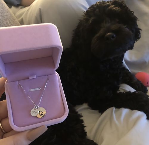 Customer photo review of Custom Paw Necklace
