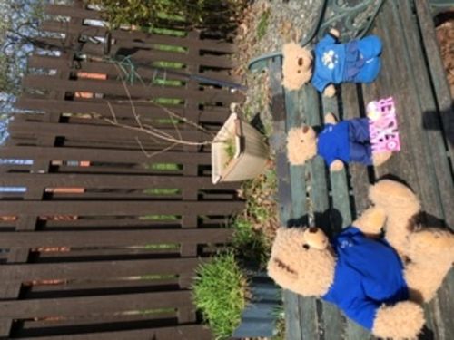 Customer photo review of Original Blue Eddy The Teddy Hoodie