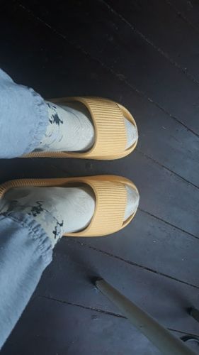 sneaker bugs slippers