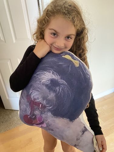 Customer photo review of Create A Custom Dog Pillow