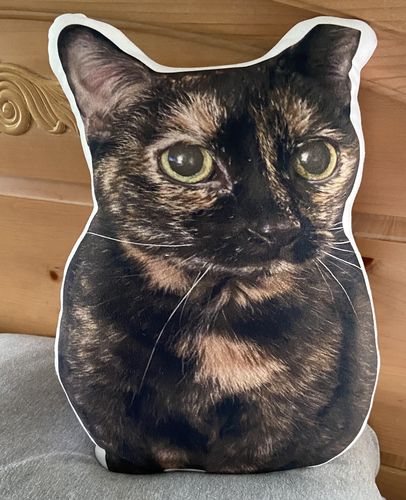 Customer photo review of Create A Custom Cat Pillow