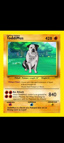 Customer photo review of Number of Pokepets and Trainers