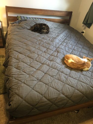 Customer photo review of Renewed Diamond-Stitched Organic Cotton Comforter, Full/Queen