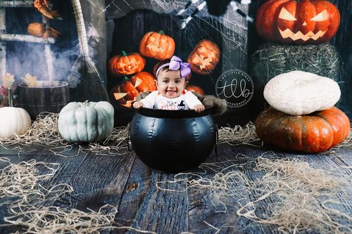 Customer photo review of Kate Halloween Backdrop Fall Wood Grain Spider Web for New TEST