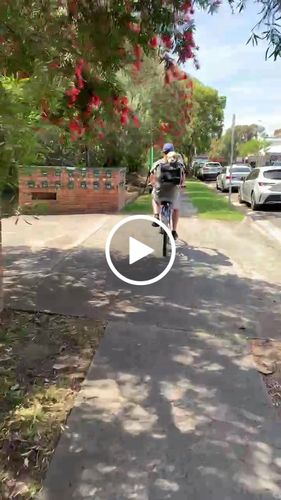 Customer video review of All In One Pet Carrier Bag | Dog Bike Basket | Backpack for Dogs & Cats | Car Booster Seat