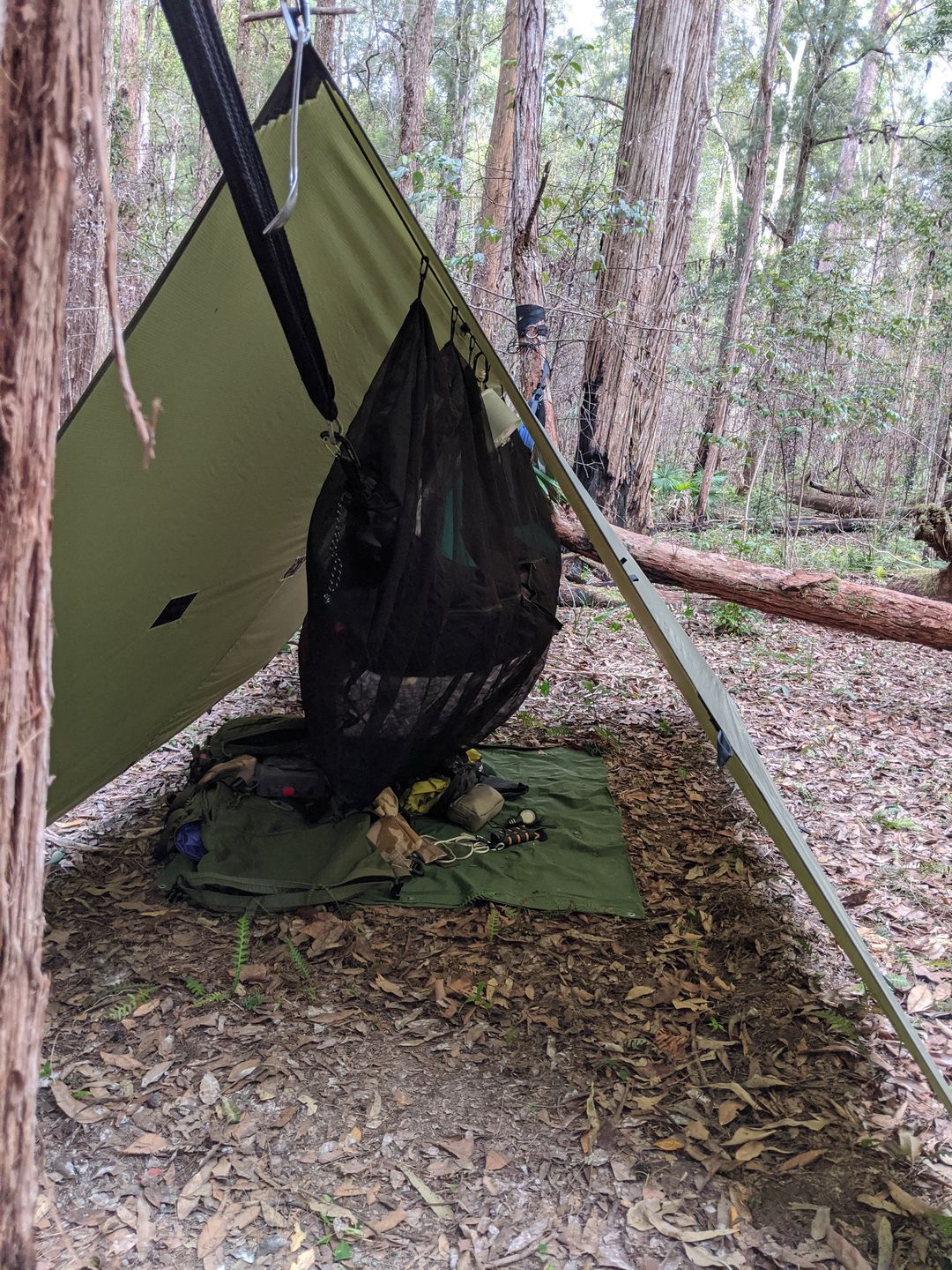 Customer photo review of Ultralight Hammock Bug Net