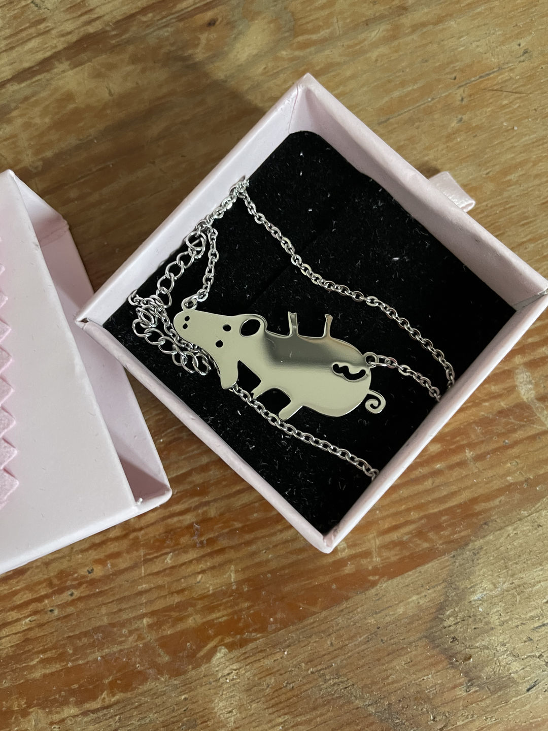 Customer photo review of Dessin d'enfant LOANYA en collier ou pendentif