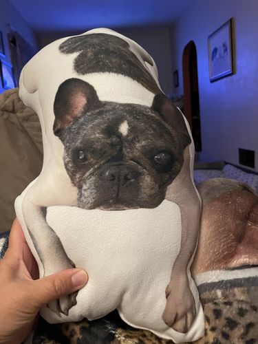 Customer photo review of Create A Custom Dog Pillow