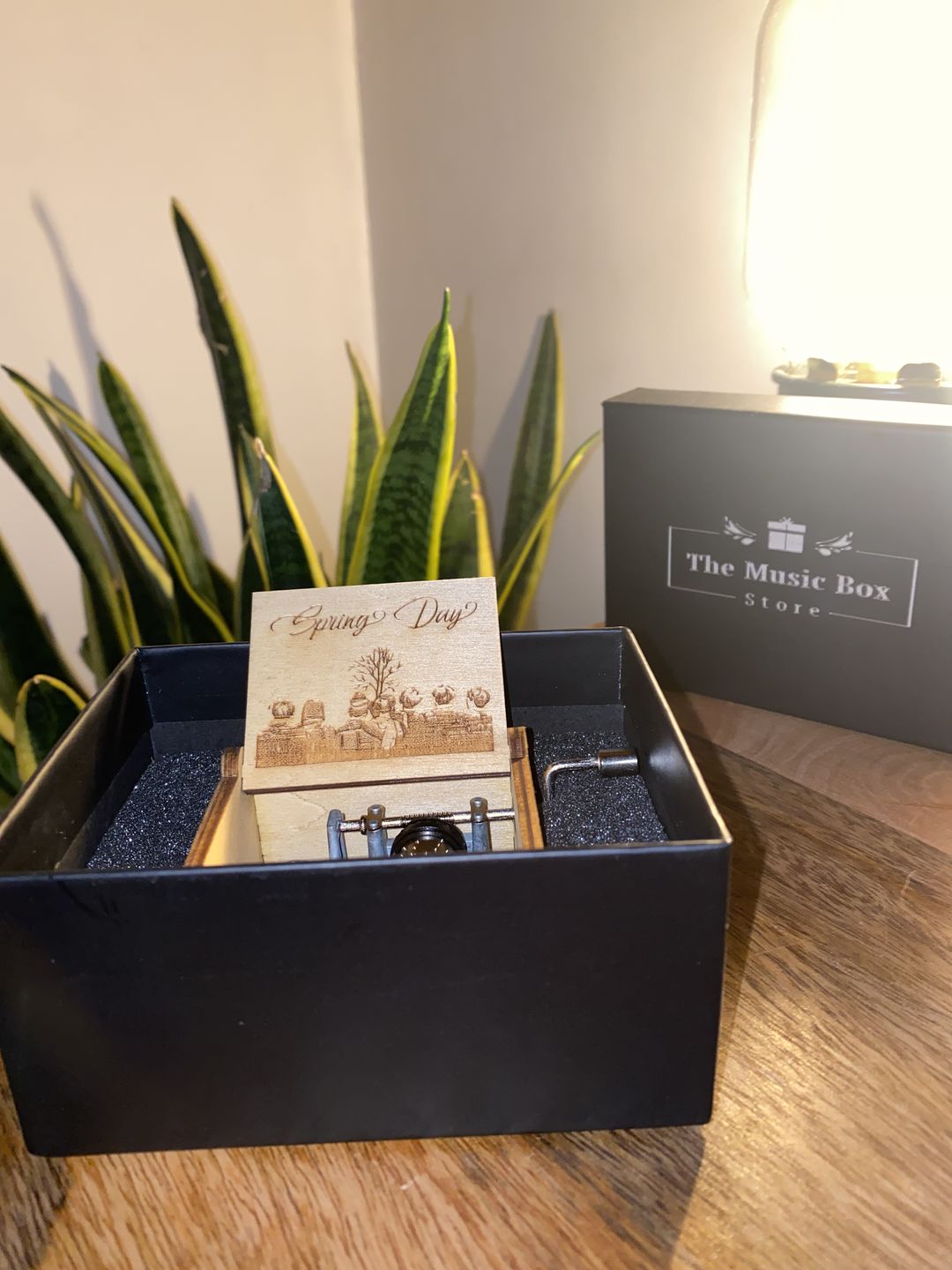 Customer photo review of Wind-up Music Box