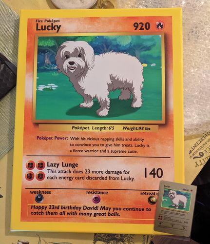 Customer photo review of Product options