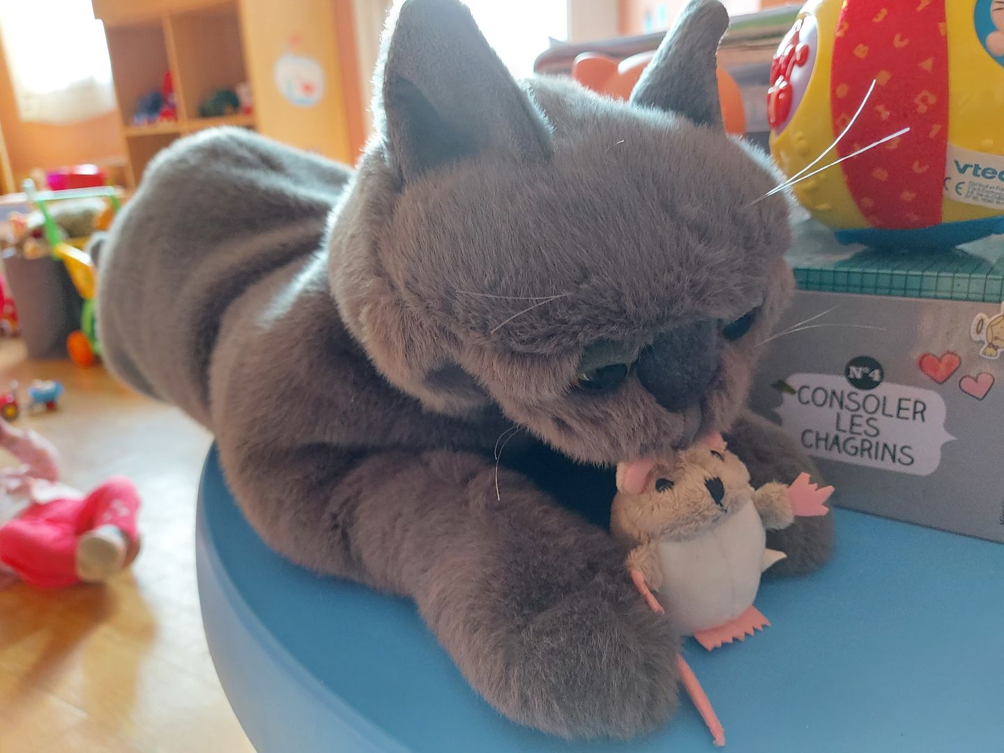 Customer photo review of Souris gris Marionnette
