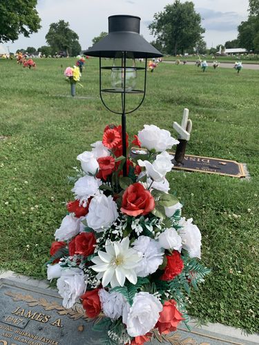 Customer photo review of Golf Glove by Harry Taylor (3-Pack)