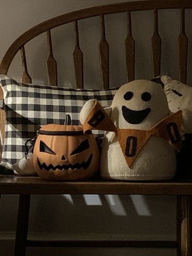 Customer photo review of Sleepy Hollow BABY Pumpkin Bag