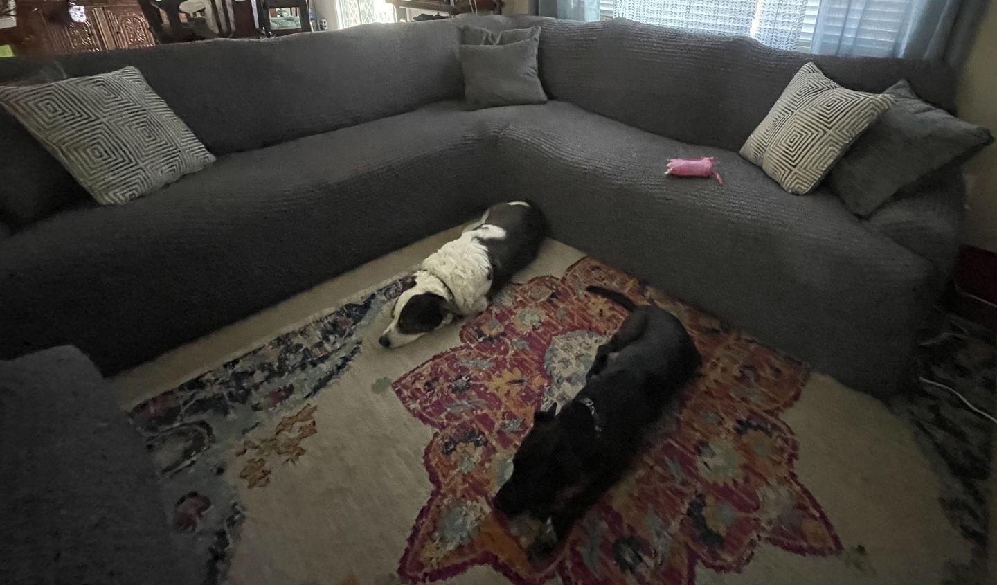 Customer photo review of Corner Sofa Slipcover, Comfort Collection