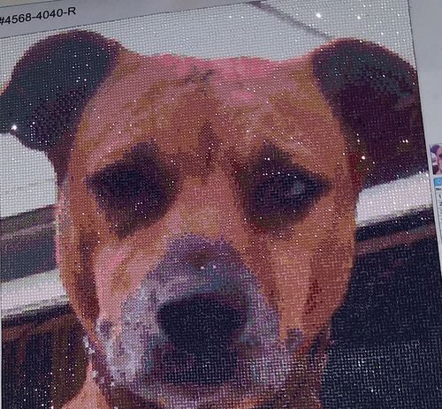 Customer photo review of Your Advanced Custom Diamond Painting Kit - Premium Quality