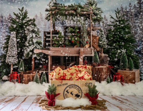 Customer photo review of Kate Christmas Snowy Tree Vending Truck Winter Backdrop Designed by Emetselch