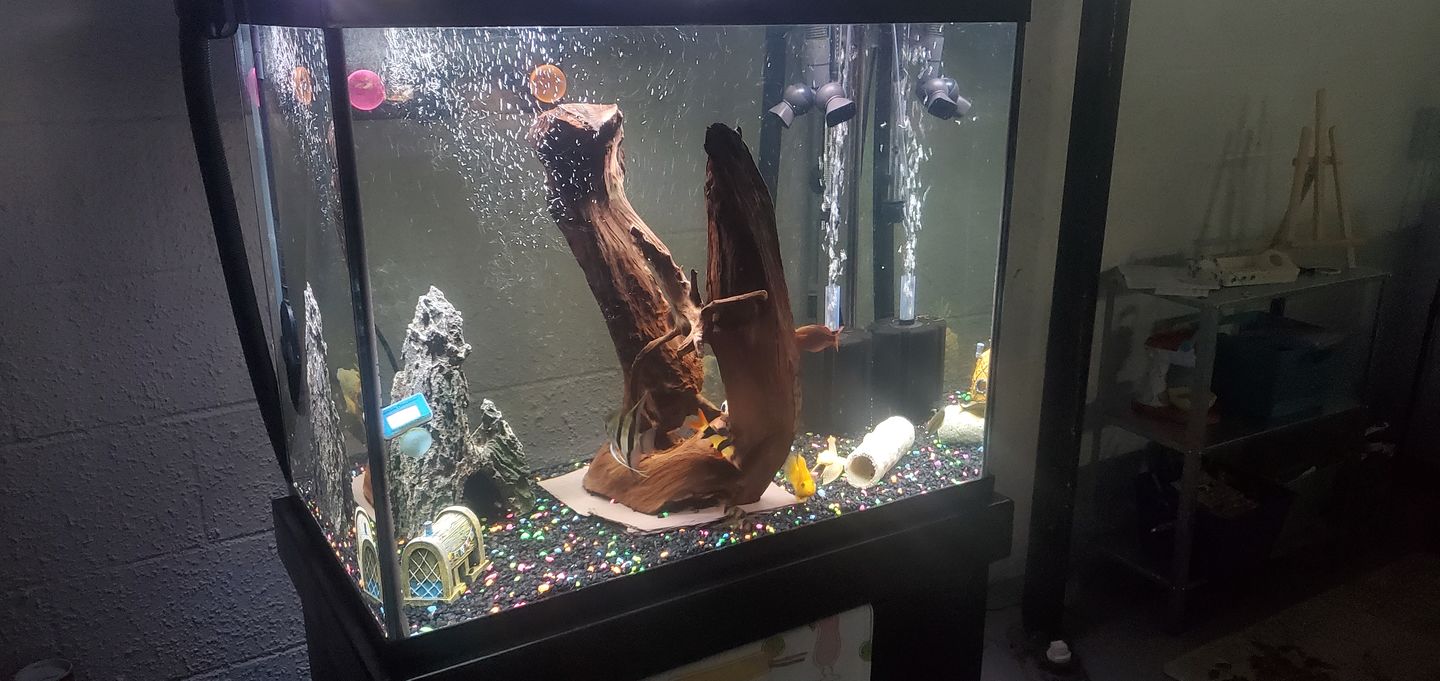 Customer photo review of Fritz Glass Cleaner 8 oz