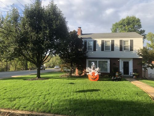 Customer photo review of Cool Season Renovation Guide