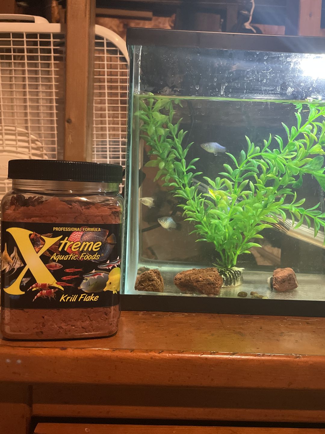 Customer photo review of Xtreme Krill Flakes