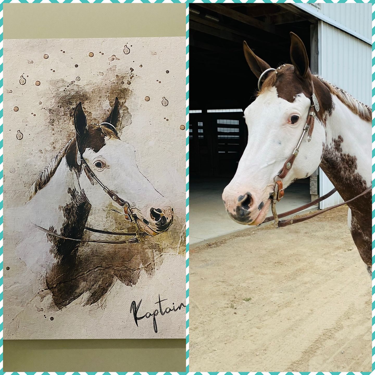 Customer photo review of Personalized Horse portrait