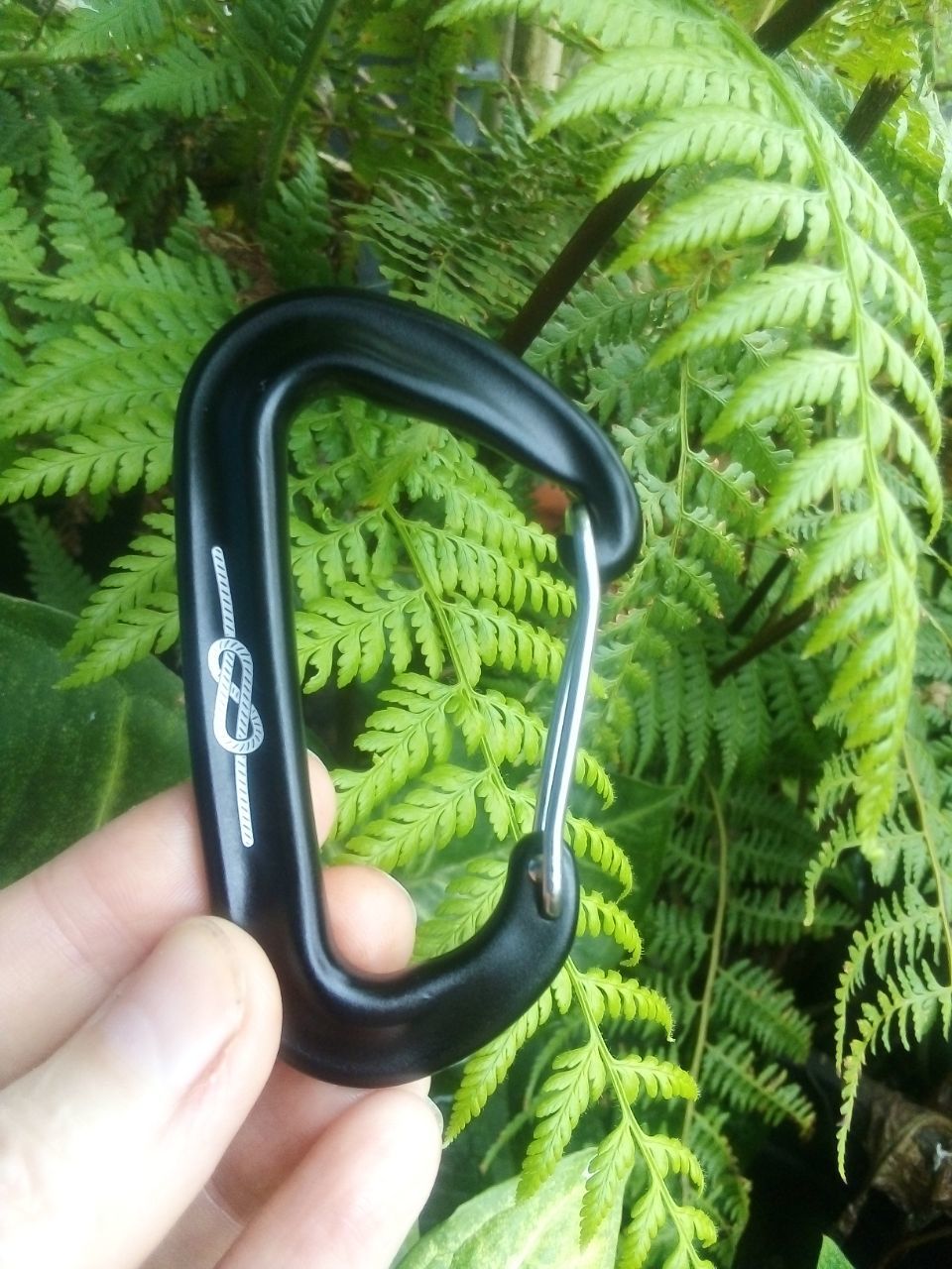 Customer photo review of Ultralight Aluminium Carabiner (12kn)