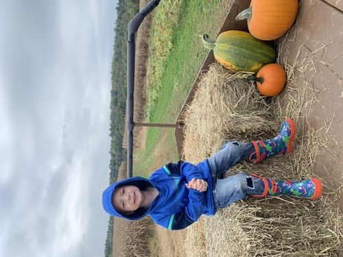 Customer photo review of Puddle-a-saurus Dinosaur Rain Boot