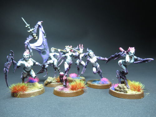 Customer photo review of Mantis Warriors - TROOPS, TGG2 Ed. (LE - F/SF)