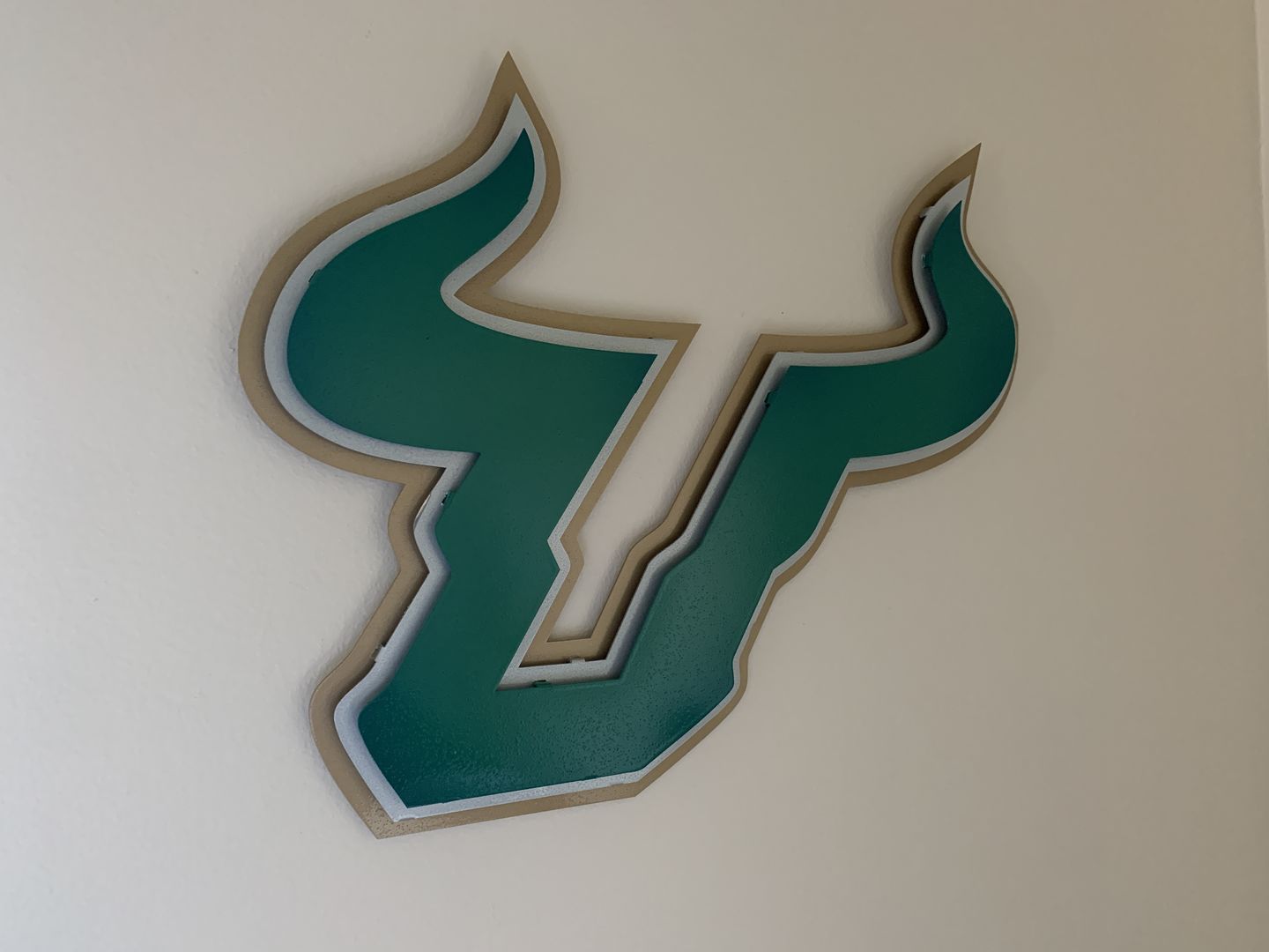Customer photo review of University of South Florida Bulls 3 Layer Metal Artwork 20" x 16"