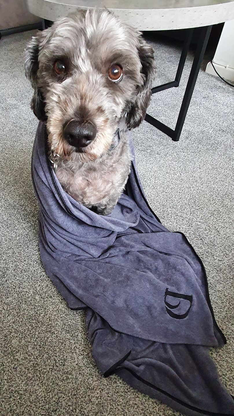Customer photo review of Luxury Dog Towel