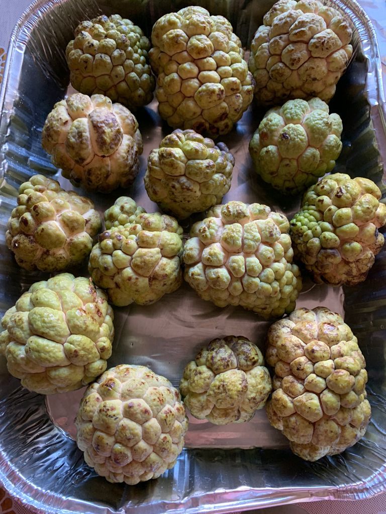 Customer photo review of Sugar Apple (Sweetsop)