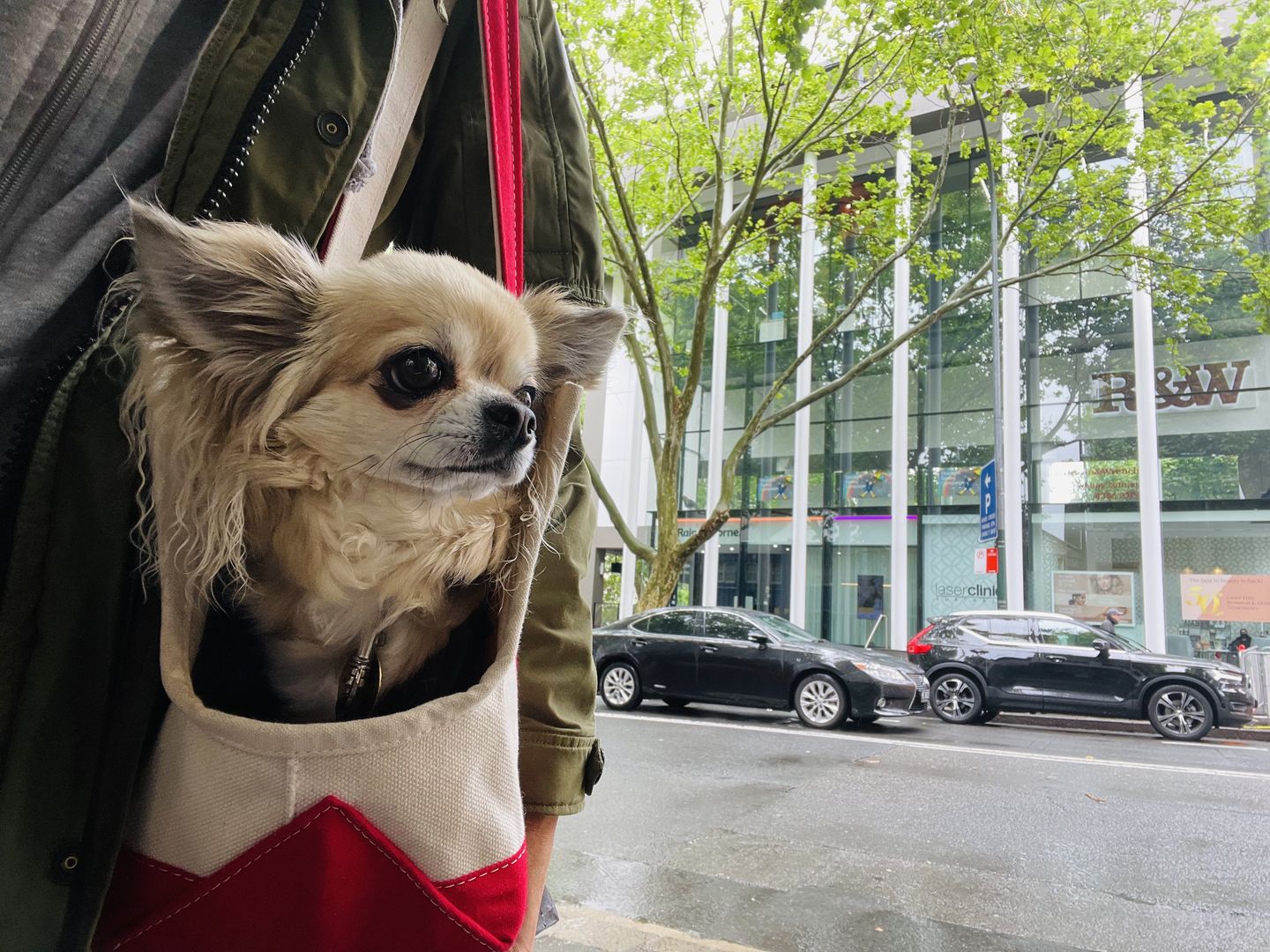 Customer photo review of Boat Canvas Carrier  -  Various Colors