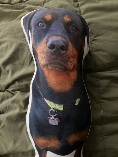 Customer photo review of Create A Custom Dog Pillow