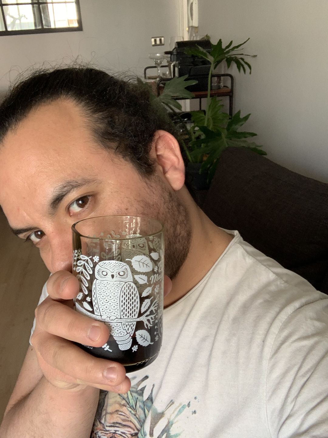 Customer photo review of Aves de Chile Juego de 4 Vasos