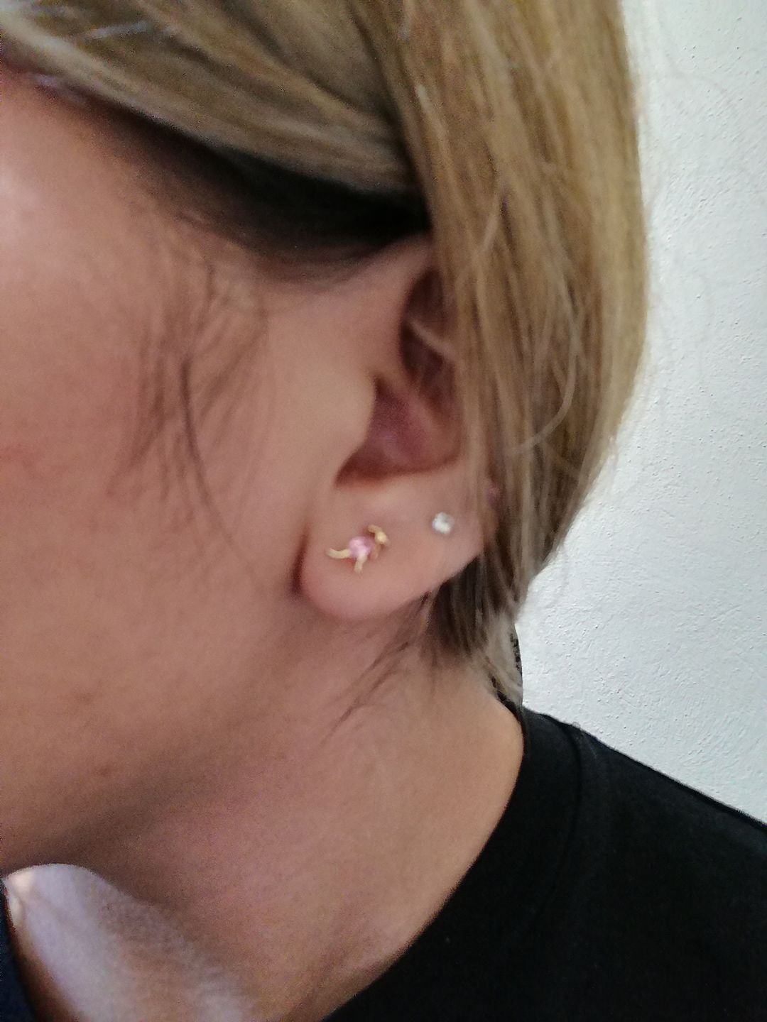 Customer photo review of Aretes de Dinosaurio