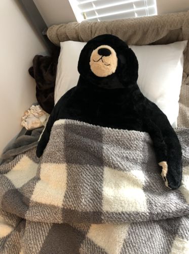 Customer photo review of SKOGGY BEAR