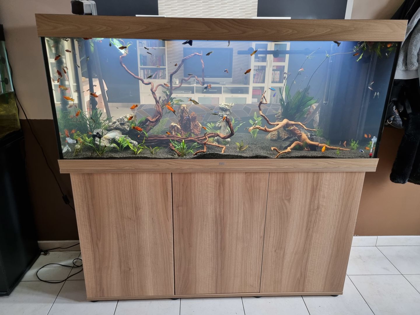 Customer photo review of Racine Naturelle Legno Dragon Skin MD - 60 à 90cm AMTRA