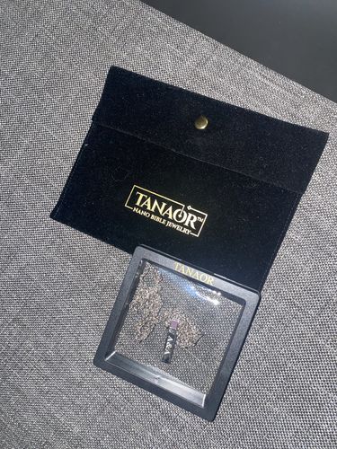 Customer photo review of The Bar Necklace