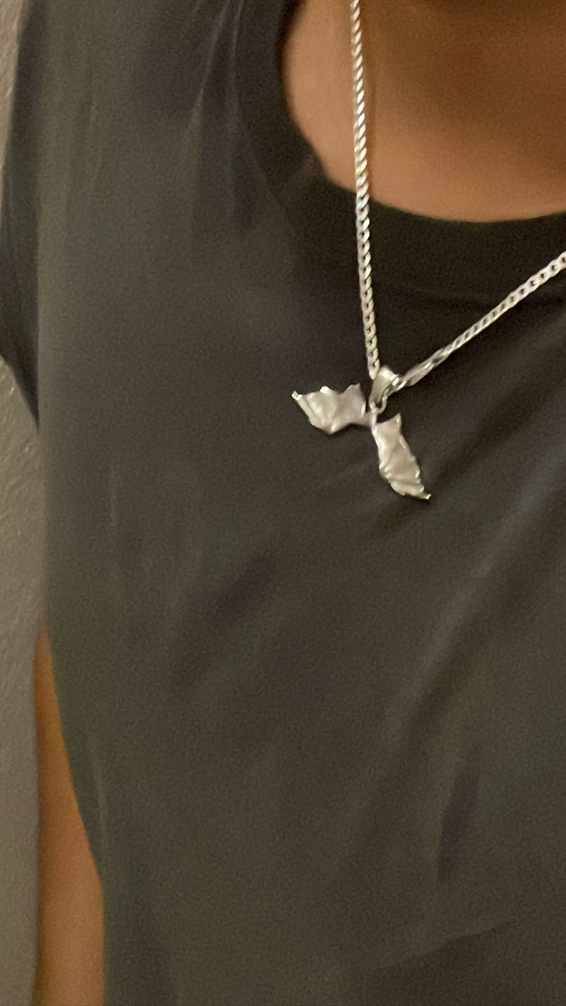 Customer photo review of DEATHWING PENDANT