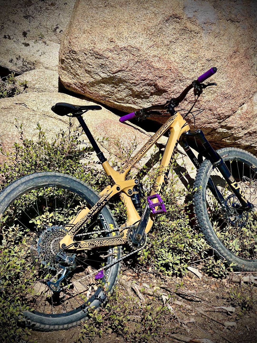 Customer photo review of Cheetah Frame Keeper