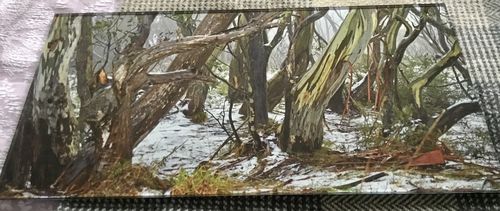Customer photo review of Acrylic Mounting Panel - 30 x 60 cm