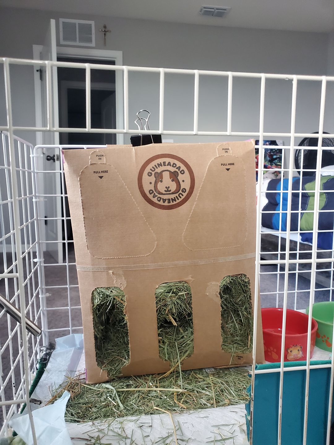 Customer photo review of GuineaDad Nourish Series - Orchard Hay (3 Pack)