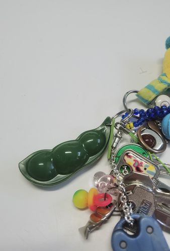 Customer photo review of TENOHAmame Keychain