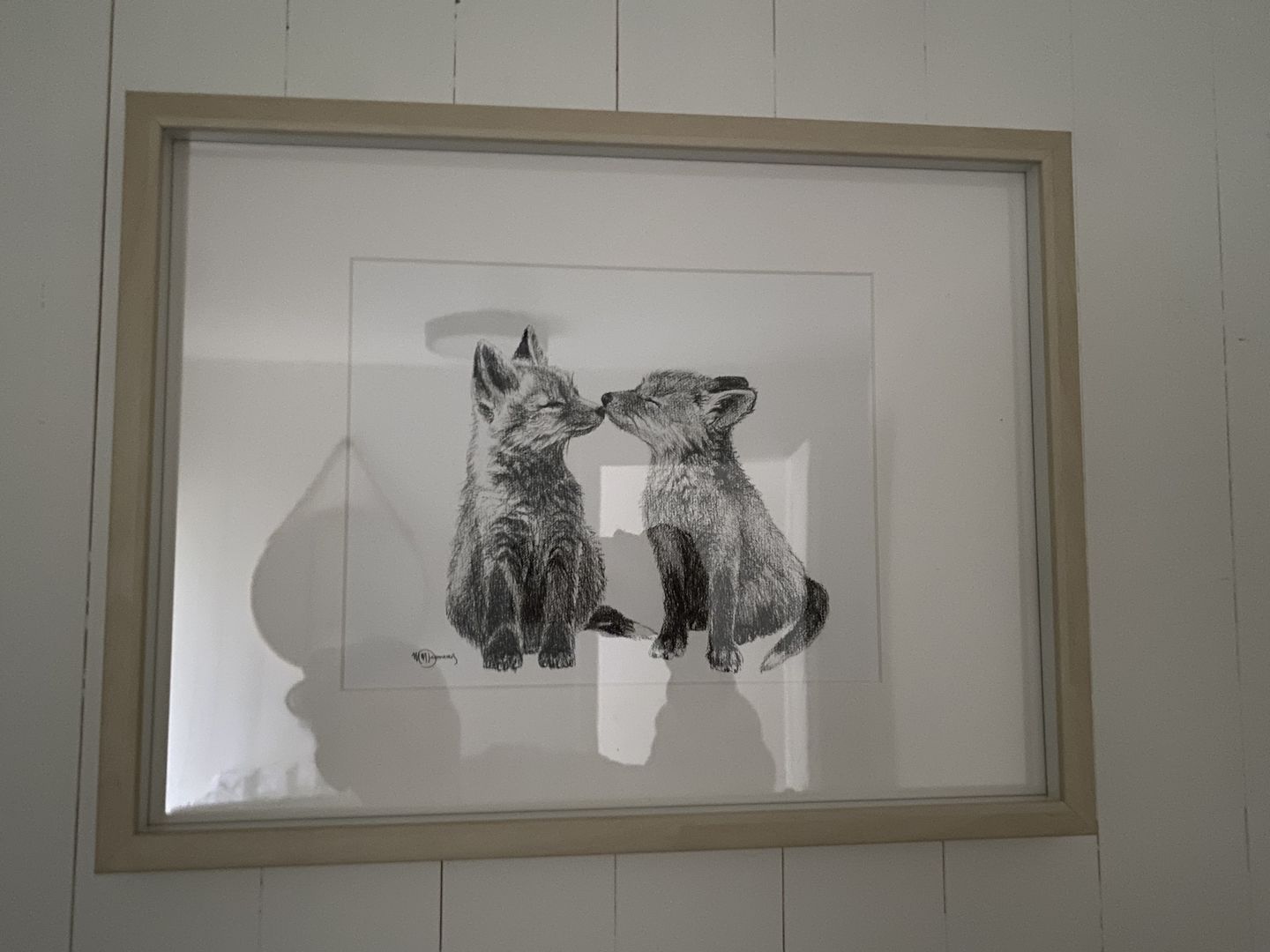 Customer photo review of Adorable Baby Foxes