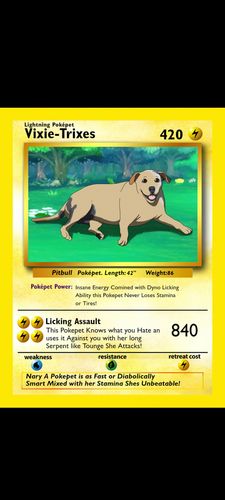 Customer photo review of PokePet Canvas