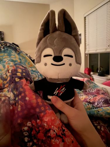Customer photo review of Official Stray Kids SKZOO Plush (Original Ver)