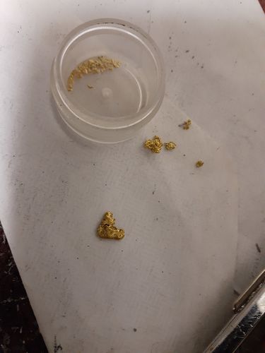 Customer photo review of 5-XL 'NUGGET RESERVE ELITE™' 5x the Nuggets Unsearched